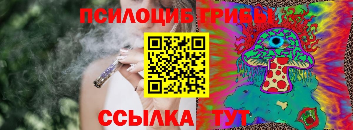 Псилоцибиновые грибы прущие грибы Альметьевск